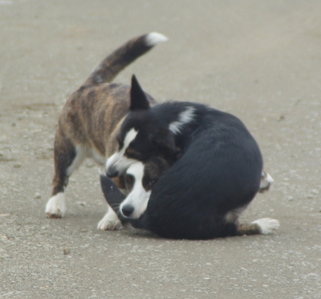 best friends